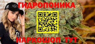 сатива Краснокаменск