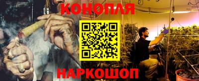 сатива Краснокаменск